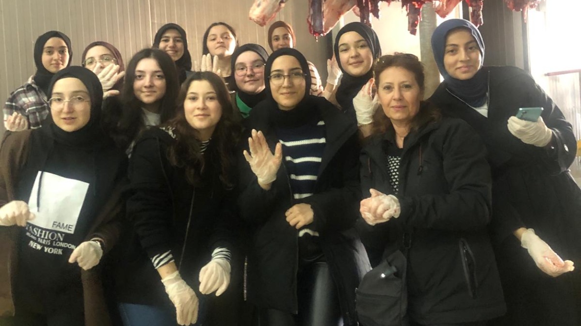 Fatsa Kız Anadolu İmam Hatip Lisesi Proje 11 A sınıfı ve biyoloji öğretmenleri Ayşe Karataş ve Hüsne  Çörten Ordu Büyükşehir Belediyesi Mezbahanesine gezi düzenlemişlerdir.